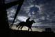 A horse goes for a morning workout at Churchill Downs Saturday, May 3, 2014, in Louisville, Ky. (AP Photo/Matt Slocum)