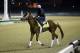 Exercise rider Ezequiel Perez takes Kentucky Derby entrant Danza for a morning workout during a morning workout at Churchill Downs Friday, May 2, 2014, in Louisville, Ky. (AP Photo/Morry Gash)