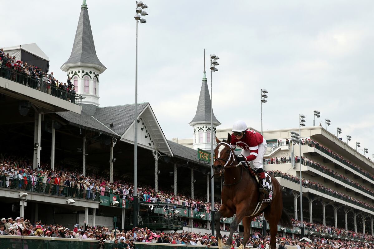 Kentucky Derby Picks 2014 Predictions and Odds for All Horses Before