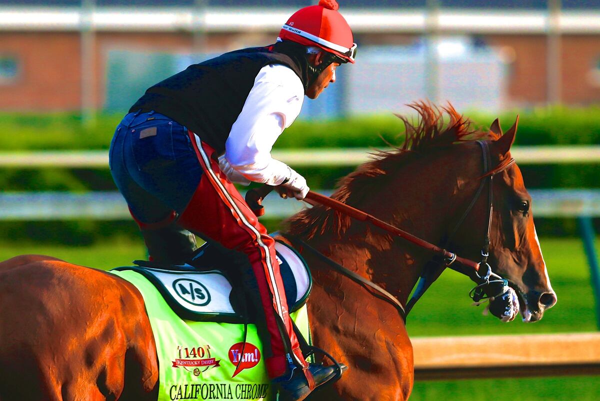 Kentucky Derby Odds 2014 LastMinute Updates and Picks News, Scores