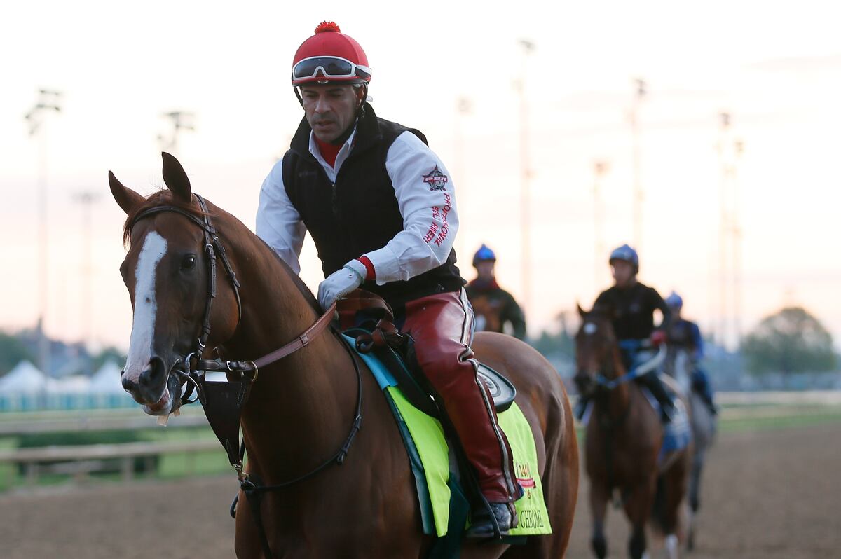 2014 Kentucky Derby Final Odds and Predictions for All Horses News