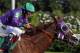 Victor Espinoza rides California Chrome to a victory during the 140th running of the Kentucky Derby horse race at Churchill Downs Saturday, May 3, 2014, in Louisville, Ky. (AP Photo/Garry Jones)