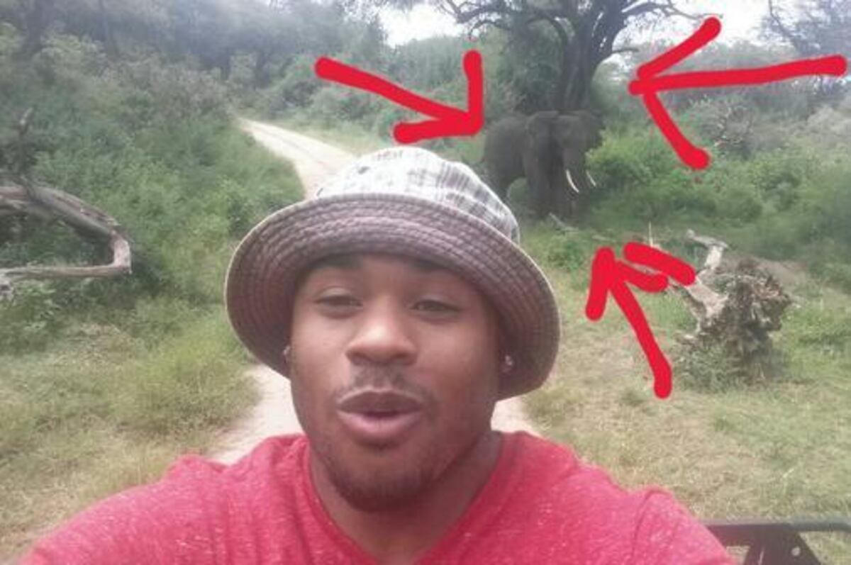 Steve Smith Takes Selfie with Elephant in Tanzania, Wants ...