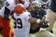 Pittsburgh running back James Conner (40) center is stopped on a run by Virginia defensive tackle Brent Urban (99) and teammates in the first quarter of an NCAA football game Saturday, Sept. 28, 2013 in Pittsburgh. (AP Photo/Keith Srakocic)