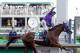 Victor Espinoza rides California Chrome to a victory during the 140th running of the Kentucky Derby horse race at Churchill Downs Saturday, May 3, 2014, in Louisville, Ky. (AP Photo/Morry Gash)
