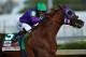 California Chrome was dominant in his Derby win.