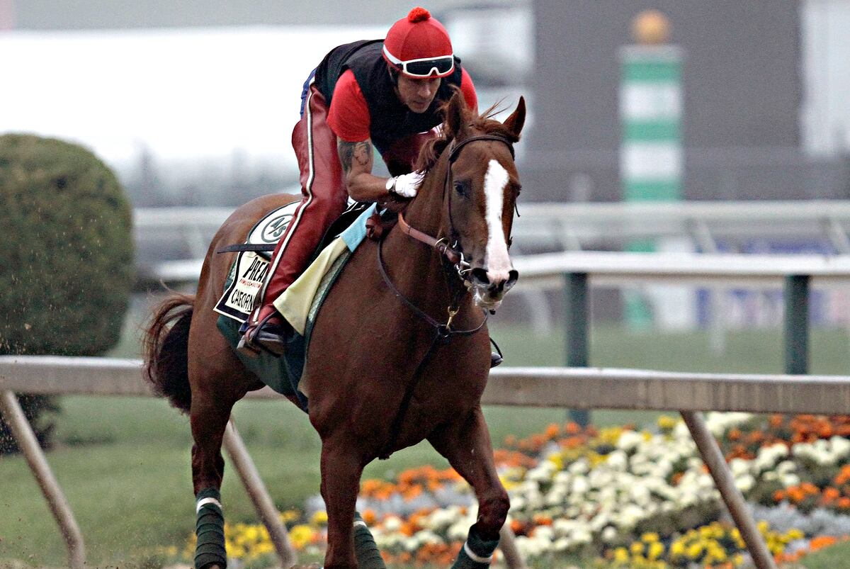 Preakness Odds 2014: Morning Line and Predictions After Post Draw ...