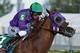 The morning line has California Chrome as a 3-5 favorite to win the Preakness.
