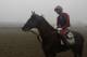 Preakness Stakes favorite California Chrome, winner of the Kentucky Derby, heads to the track for a morning workout in the fog with exercise rider Willie Delgado aboard at Pimlico Race Course in Baltimore, Thursday, May 15, 2014. (AP Photo/Garry Jones)