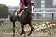 Exercise rider Willie Delgado gallops Kentucky Derby winner California Chrome at Pimlico Race Course in Baltimore, Md., Wednesday, May 14, 2014. The Preakness Stakes horse race is scheduled for May 17 at Pimlico. (AP Photo/Garry Jones)
