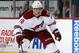 With little production, the trade for Martin Erat turned out to be a mistake.
