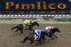 BALTIMORE, MD - MAY 18: Orb #1, ridden by Joel Rosario, leads Glodencents #2, ridden by Kevin Krigger, and Departing #4, ridden by Brain Hernandez Jr., down the frontstretch at the start of the 138th running of the Preakness Stakes at Pimlico Race Course on May 18, 2013 in Baltimore, Maryland. (Photo by Patrick Smith/Getty Images)
