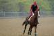 Kentucky Derby winner California Chrome, with exercise rider Willie Delgado aboard, gallops at Pimlico Race Course in Baltimore, Wednesday, May 14, 2014. The Preakness Stakes horse race is scheduled to take place May 17. (AP Photo)