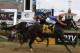 Preakness Order Of Finish And Payouts Preakness Order Of Finish And Payouts