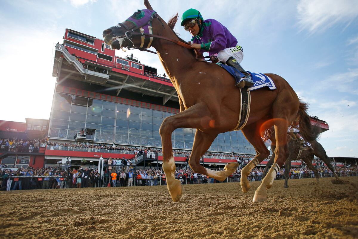 Preakness 2014 Final Results, Standings, Payouts and Replay Highlights