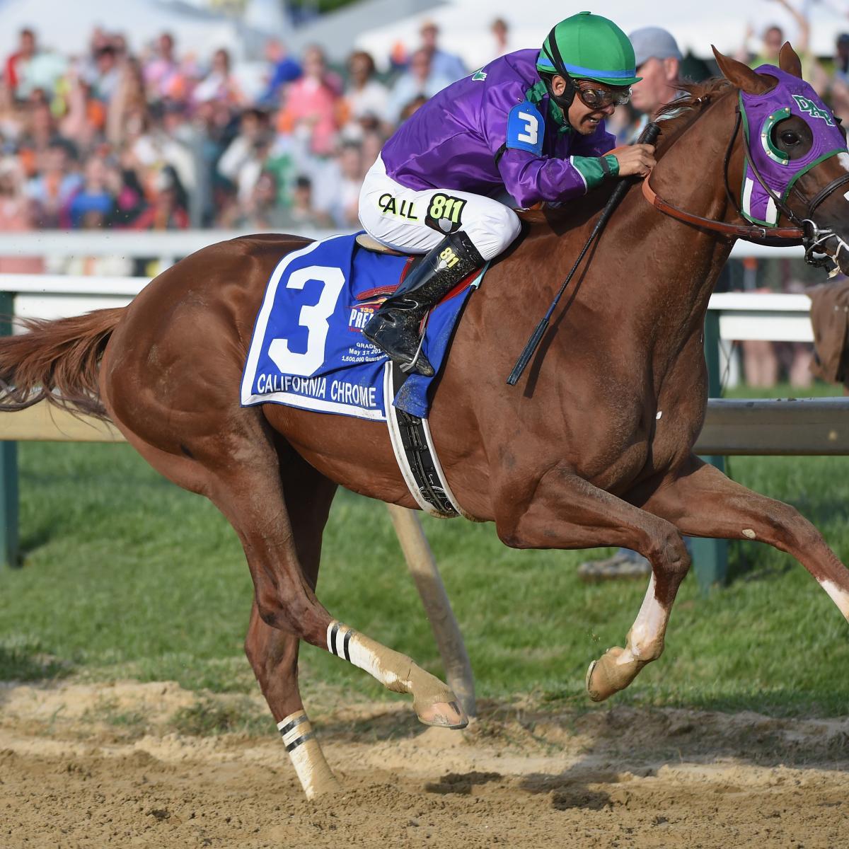 Preakness Results 2014 Examining Race Results, Replay Video and More