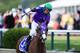 BALTIMORE, MD - MAY 17: Victor Espinoza celebrates atop California Chrome #3 after winning the 139th running of the Preakness Stakes at Pimlico Race Course on May 17, 2014 in Baltimore, Maryland. (Photo by Rob Carr/Getty Images)