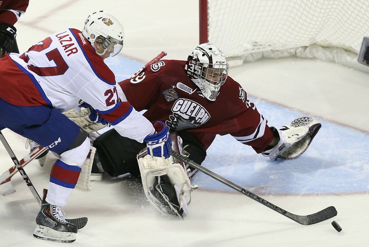 Memorial Cup Final 2014 Guelph Storm vs. Edmonton Oil Kings Score