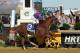 IMAGE DISTRIBUTED FOR LONGINES - California Chrome, ridden by jockey Victor Espinoza, wins the second leg of the Triple Crown as he runs away with the 139th Preakness Stakes, Saturday, May 17, 2014, in Baltimore, MD. Longines, the Swiss watchmaker known for its famous timepieces, is the Official Watch and Timekeeper of the 139th annual Preakness Stakes and the Triple Crown. (Diane Bondareff/Invision for Longines/AP Images)