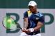American Donald Young reached No. 1 as a junior. He could be on the rise once again.