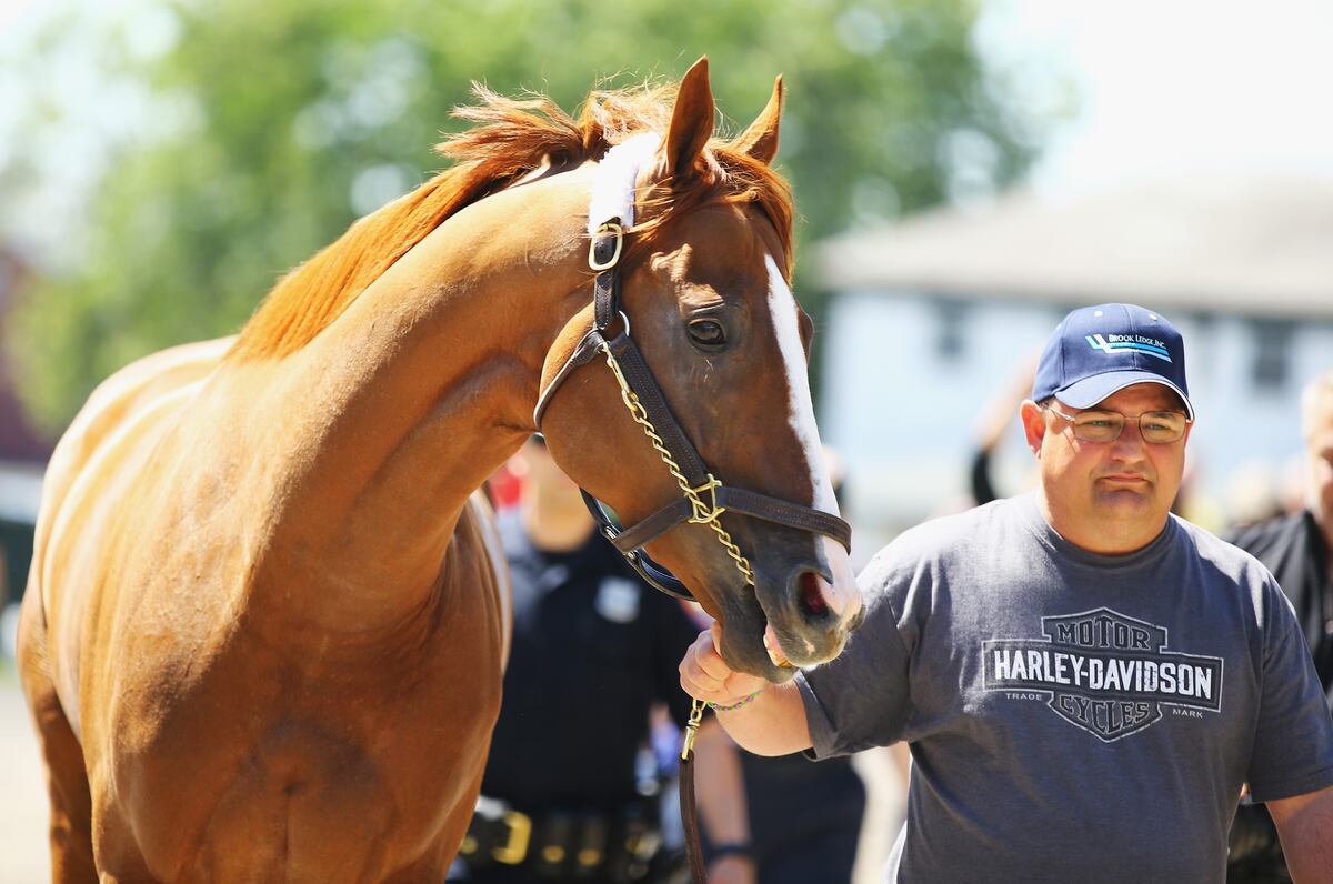 2014 Belmont Stakes TV Coverage, NBC Live Stream and Purse Payout Info Bleacher Report