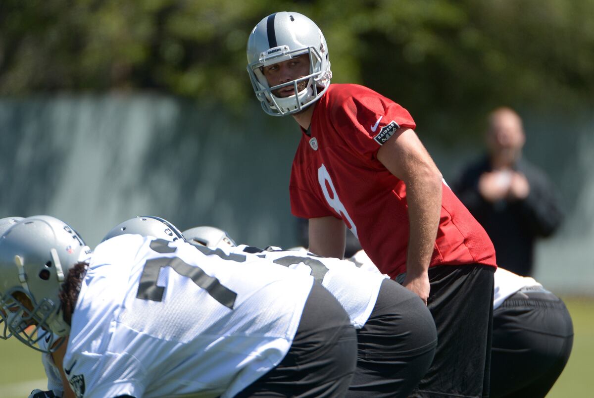 oakland raiders full position breakdown and depth chart oakland depth chart 2014