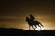 ELMONT, NY - JUNE 02: (EDITORS NOTE: An infrared camera was used to create this image.) A horse and exercise rider train at sunrise on the main track at Belmont Park on June 2, 2014 in Elmont, New York. (Photo by Al Bello/Getty Images)