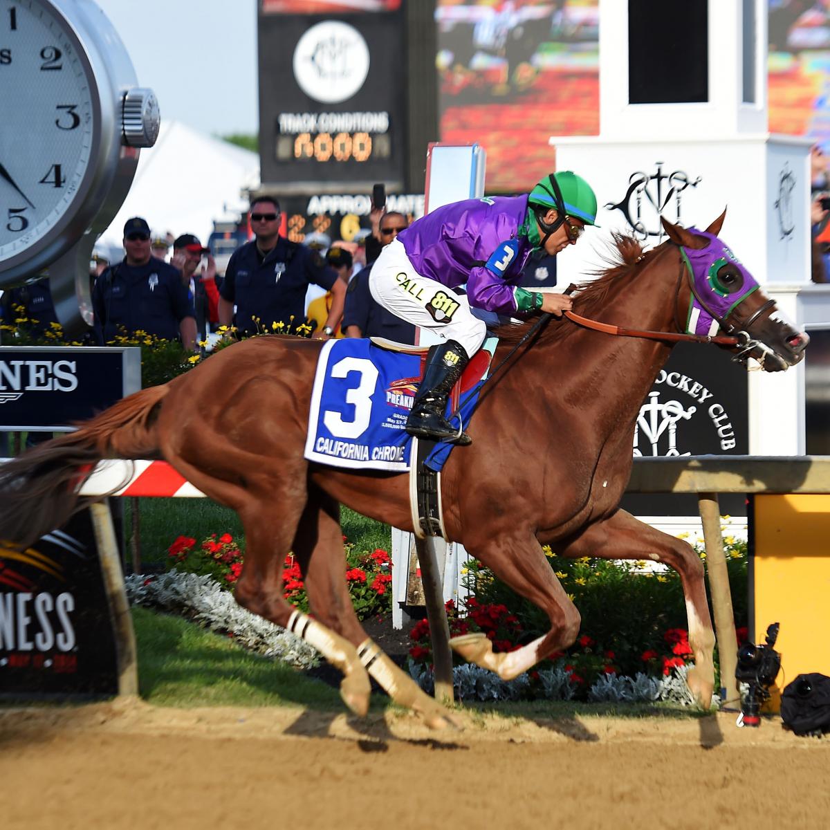 Belmont Stakes Draw 2014 Post Positions, Field and Race Preview News