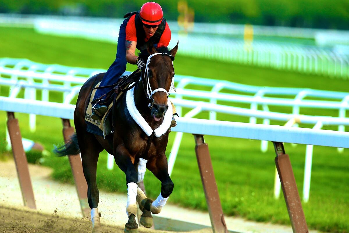 Belmont Stakes Post Positions 2014: Odds and Predictions for Every ...