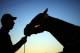 Commanding Curve is among the top dark horses in the 2014 Belmont Stakes.
