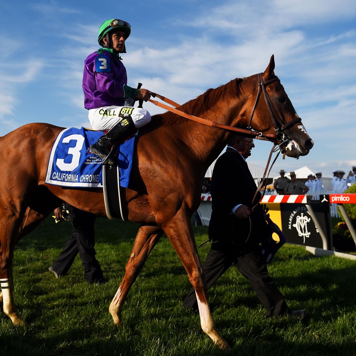 Belmont Stakes Odds 2014 Examining Lines, Payouts and Picks for Elmont