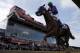 May 17, 2014; Baltimore, MD, USA; Victor Espinoza aboard California Chrome crosses the finish line to the 139th Preakness Stakesat Pimlico Race Course. Mandatory Credit: Winslow Townson-USA TODAY Sports