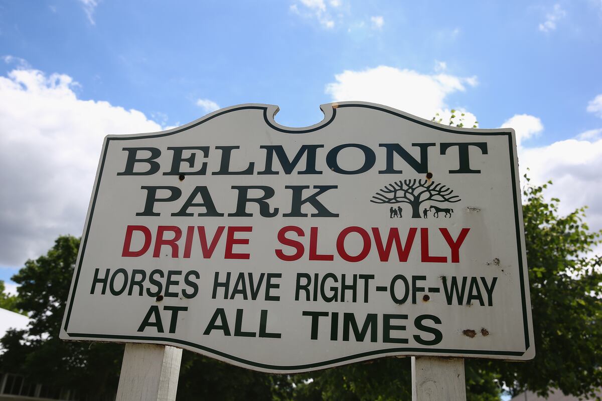 Belmont 2014 Weather Forecast, Horse Odds, Jockey Info and Race Picks