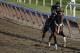 Commanding Curve gallops around the track with exercise rider Emerson Chavez up during a workout, Friday, June 6, 2014, in Elmont, N.Y. Commanding Curve will be one of ten challengers looking to spoil California Chrome's bid at a Triple Crown when they race in the 146th running of the Belmont Stakes horse race on Saturday. (AP Photo/Julie Jacobson)