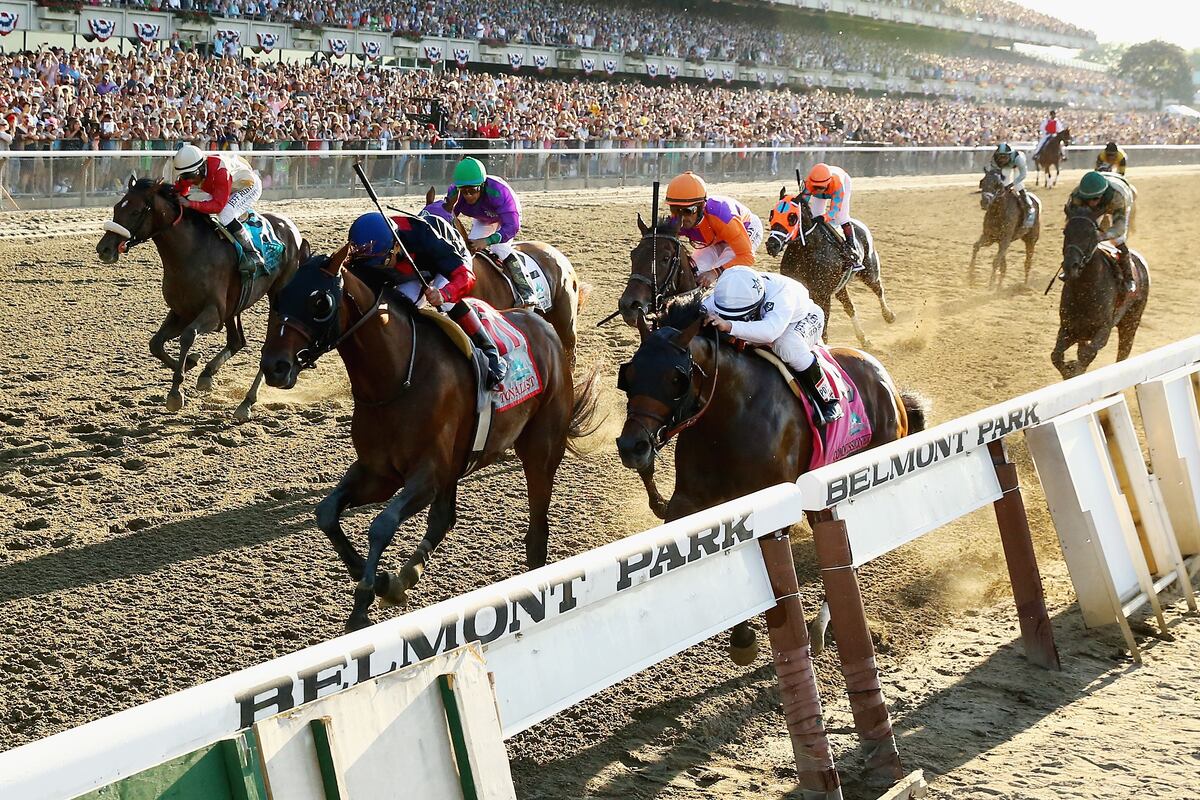  belmont stakes results 2014 video replay times chart and triple crown 