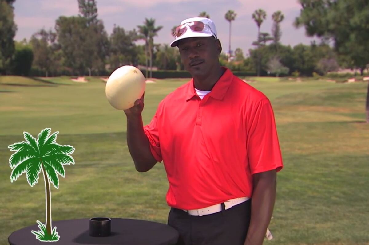 michael jordan fruit of the loom