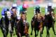ASCOT, ENGLAND - JUNE 17: Jockey James Doyle riding Kingman celebrates winning the St James's Palace Stakes during day one of Royal Ascot at Ascot Racecourse on June 17, 2014 in Ascot, England. (Photo by Alan Crowhurst/Getty Images for Ascot Racecourse)
