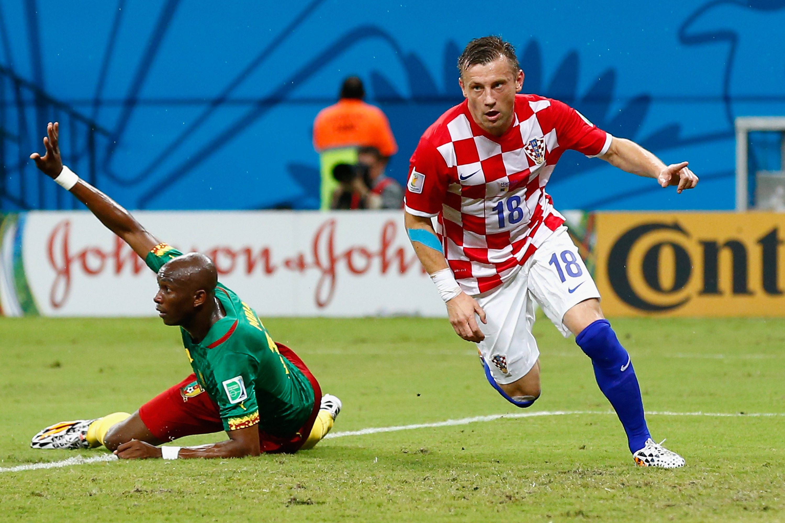 Stipe Pletikosa. Croatia v Cameroon. Group match. FIFA World Cup