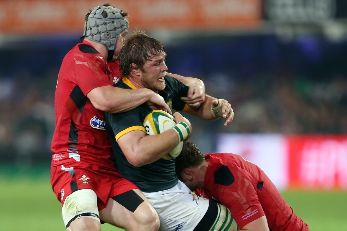 South Africa vs. Wales: Score and Lessons Learned from ...