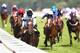 ASCOT, ENGLAND - JUNE 21: Jockey Ryan Moore riding Telescope wins the Hardwicke Stakes during day five of Royal Ascot at Ascot Racecourse on June 21, 2014 in Ascot, England. (Photo by Charlie Crowhurst/Getty Images for Ascot Racecourse)
