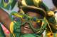 A Brazil soccer fan in costume cheers before the start of a live broadcast of a World Cup match between Brazil and Mexico inside the FIFA Fan Fest area on Copacabana beach, in Rio de Janeiro, Brazil, Tuesday, June 17, 2014. (AP Photo/Silvia Izquierdo)