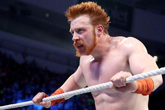 Image result for sheamus