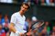 LONDON, ENGLAND - JUNE 27: Andy Murray of Great Britain urges himself on during his Gentlemen's Singles third round match against Roberto Bautista Agut of Spain on day five of the Wimbledon Lawn Tennis Championships at the All England Lawn Tennis and Croquet Club on June 27, 2014 in London, England. (Photo by Al Bello/Getty Images)