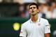 LONDON, ENGLAND - JUNE 25: Novak Djokovic of Serbia during his Gentlemen's Singles second round match against Radek Stepanek of Czech Republic on day three of the Wimbledon Lawn Tennis Championships at the All England Lawn Tennis and Croquet Club at Wimbledon on June 25, 2014 in London, England. (Photo by Steve Bardens/Getty Images)