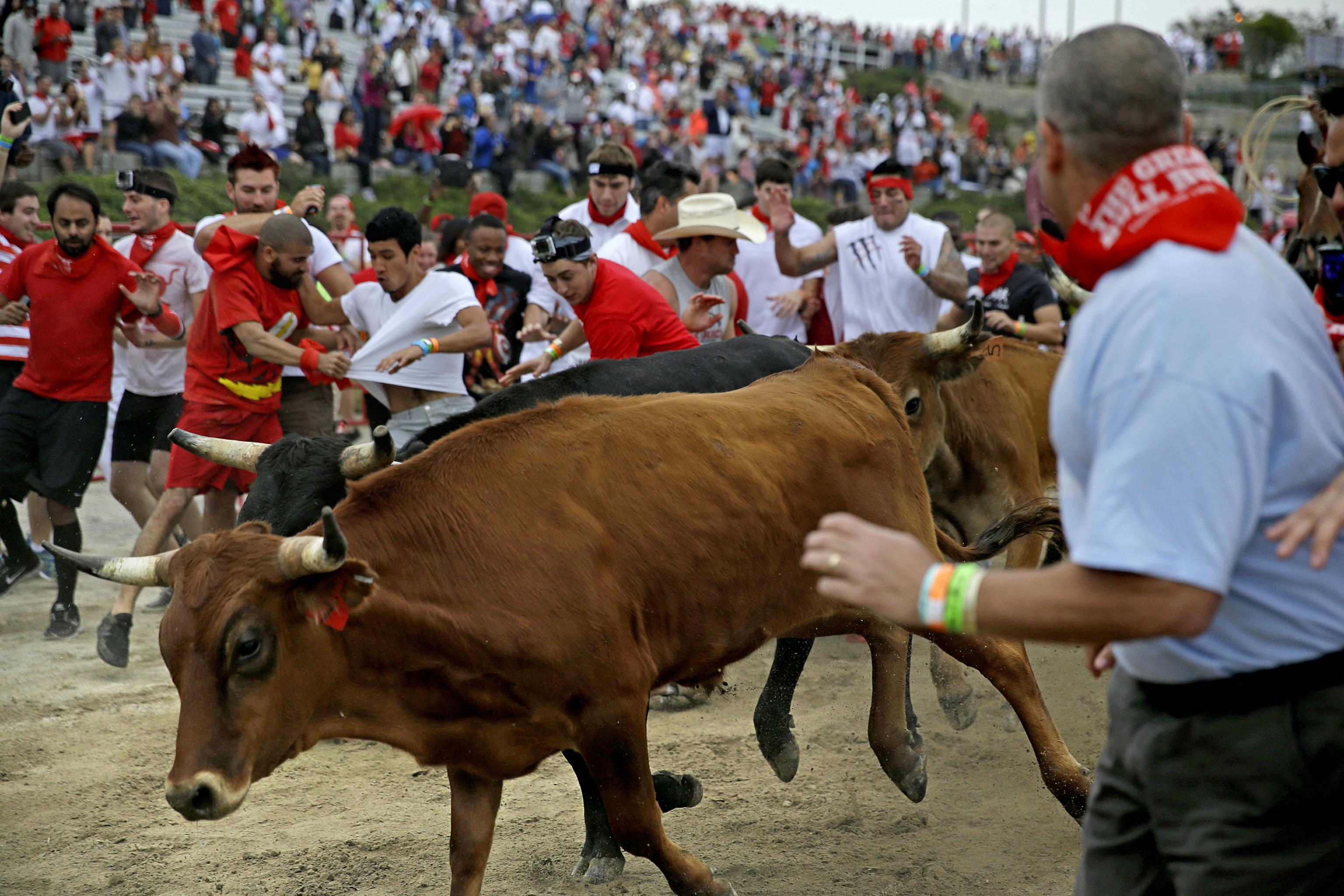 Spotted at the Festival of San Fermin : r/49ers