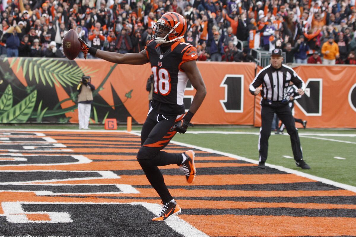 Bengals Division Record History