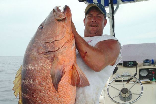 Giant Cubera Snapper Caught in Alabama Would Crush State Record by