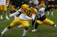 Pittsburgh Steelers outside linebacker Ryan Shazier (50) during practice at NFL football training camp in Latrobe, Pa., on Monday, July 28, 2014 . (AP Photo/Keith Srakocic)