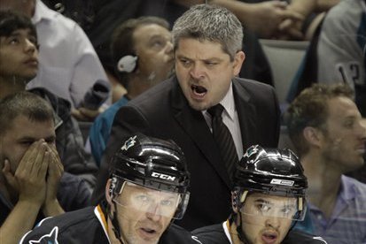 san jose sharks head coach news