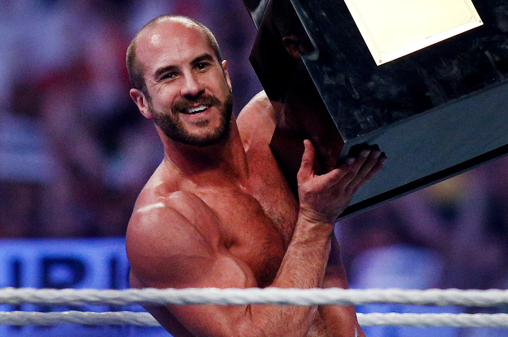 WWE WRESTLEMANIA HISTORY  Darren's Win-Loss Records, Facts, & Stats